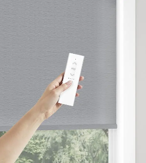 Somfy Automation Dual Mount