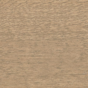 True Taupe