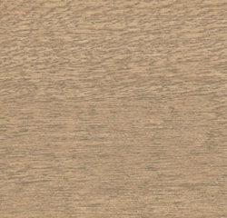 Elite True Taupe