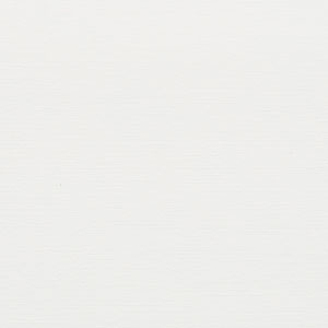 Elite Crisp White