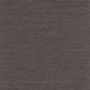 Titanium