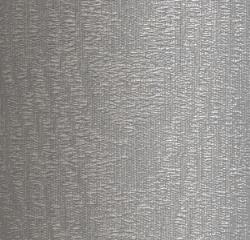 Silver Dollar
