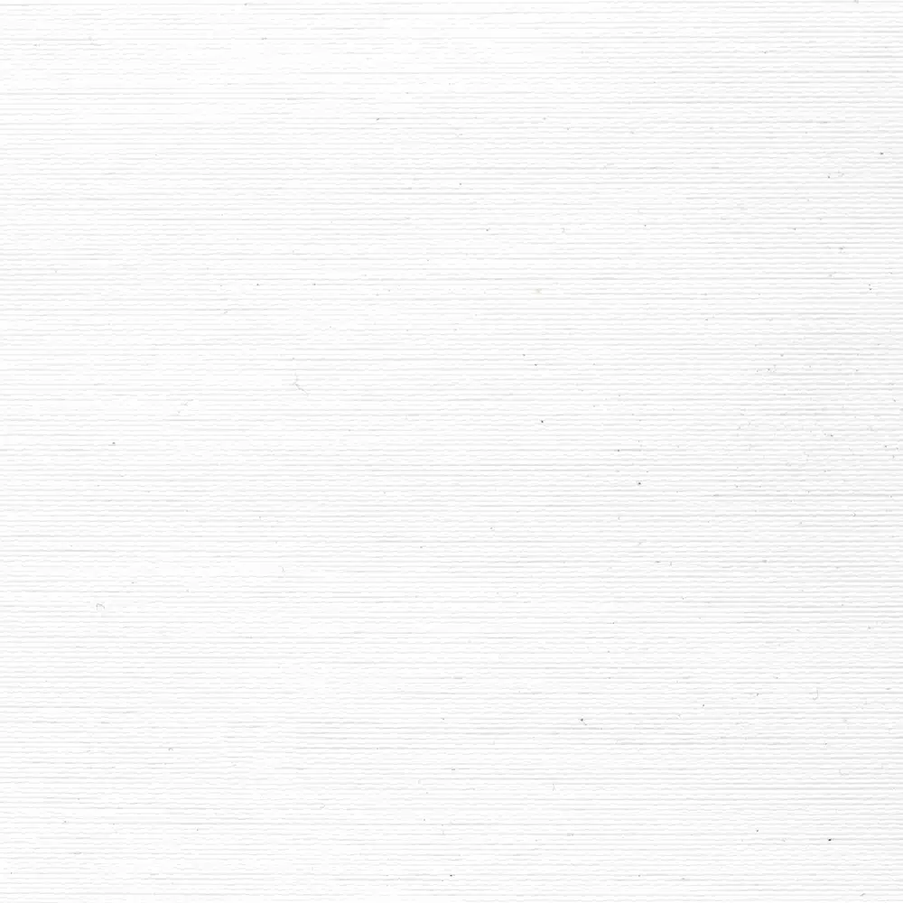 White Dove