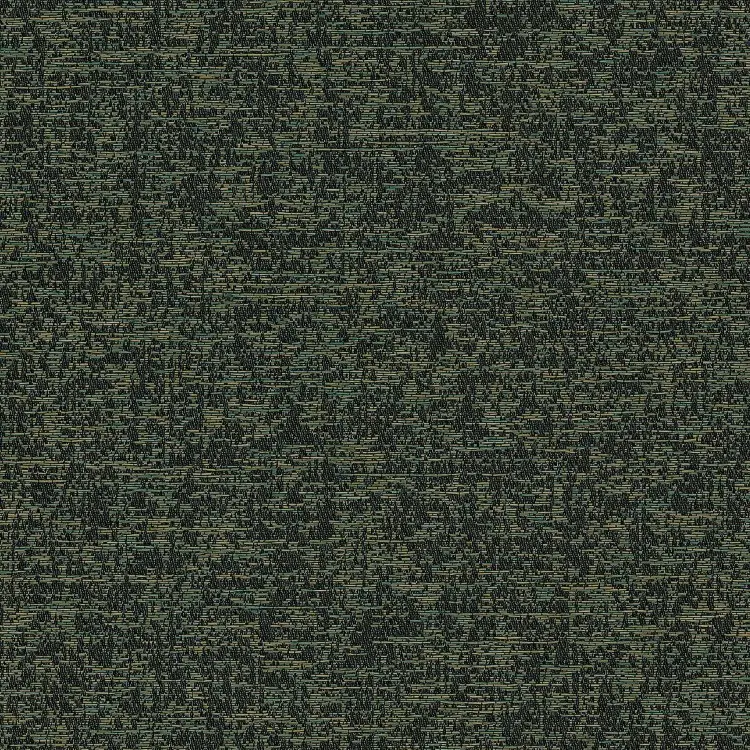 Dark Forest
