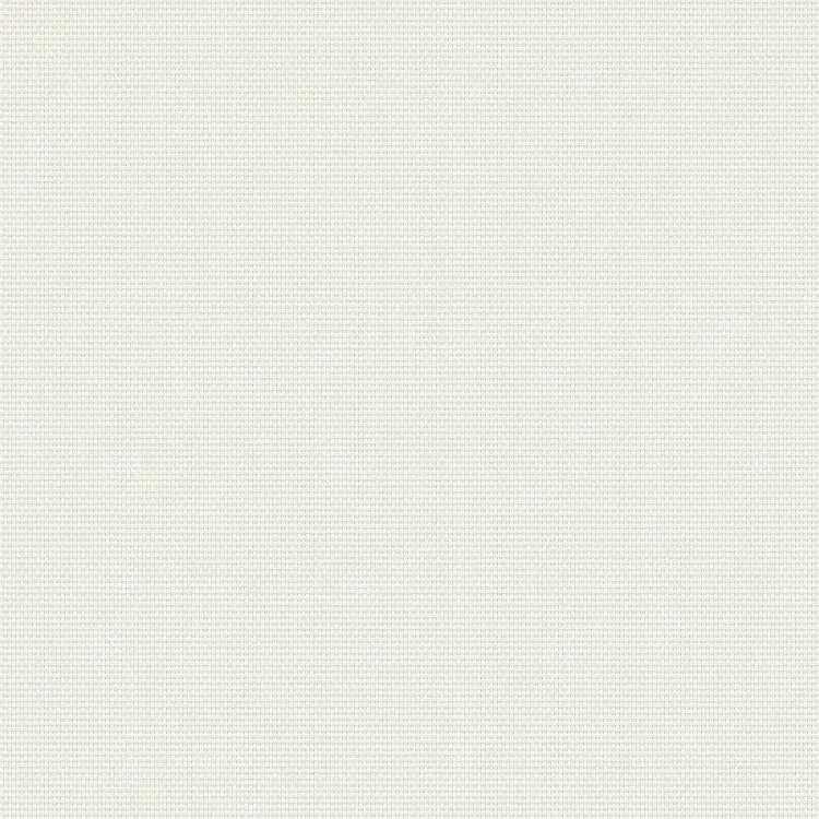 White/White