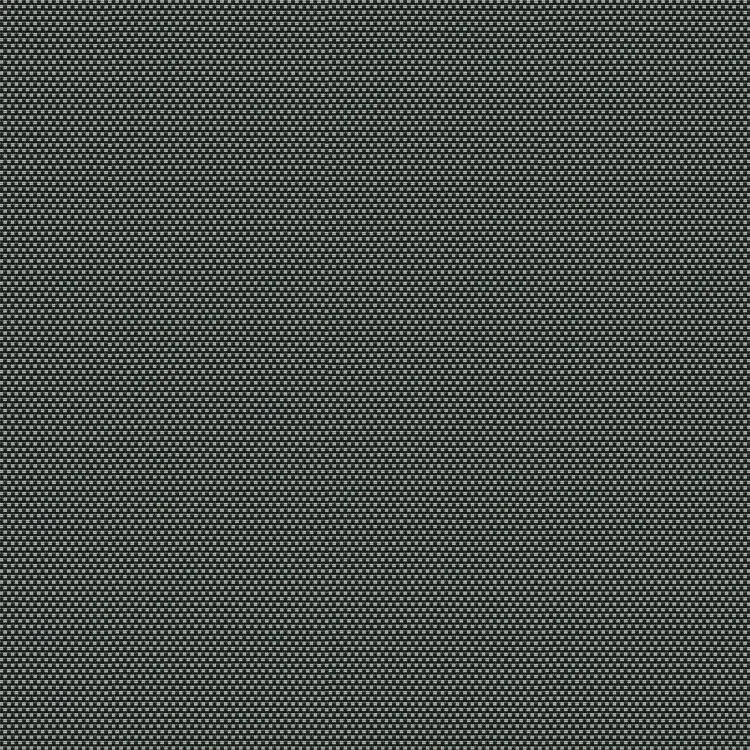 Black/Gray