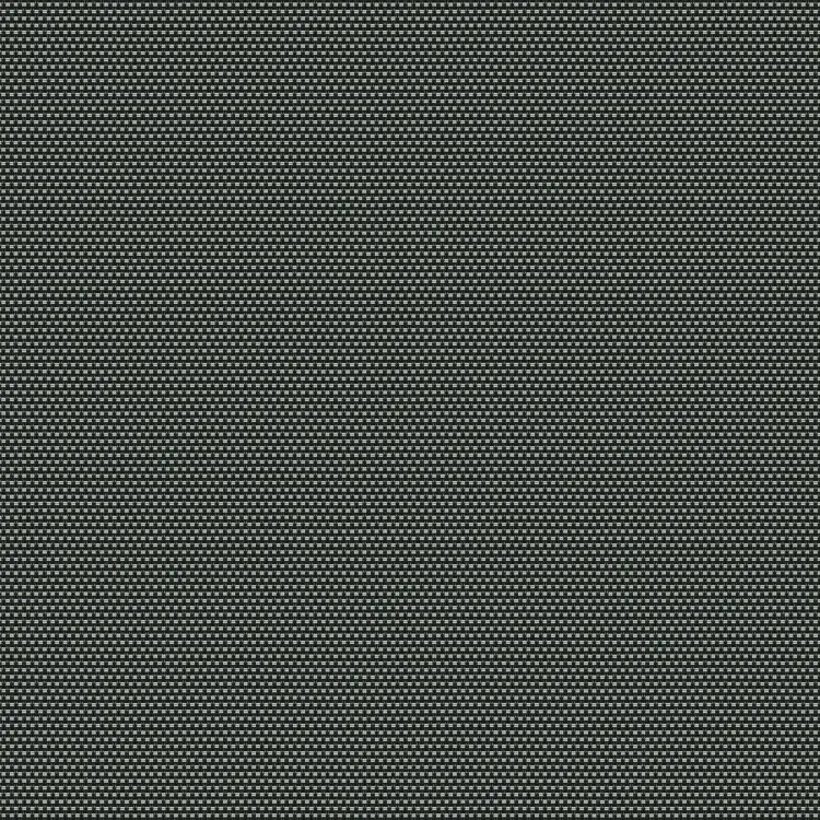 Black/Gray