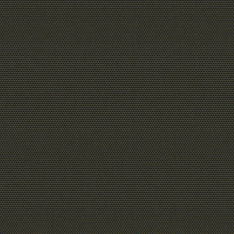 Black/Bronze