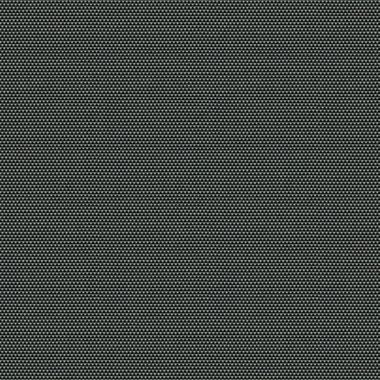 Black/Gray
