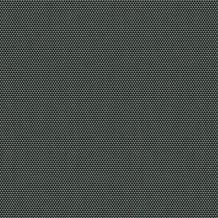 Black/Gray