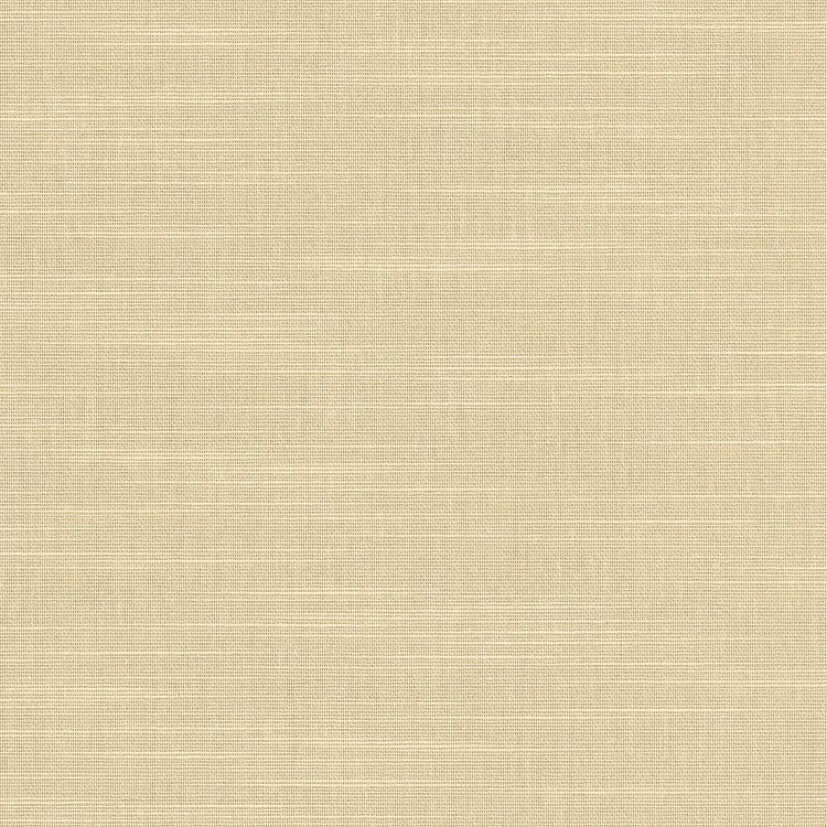 Macadamia