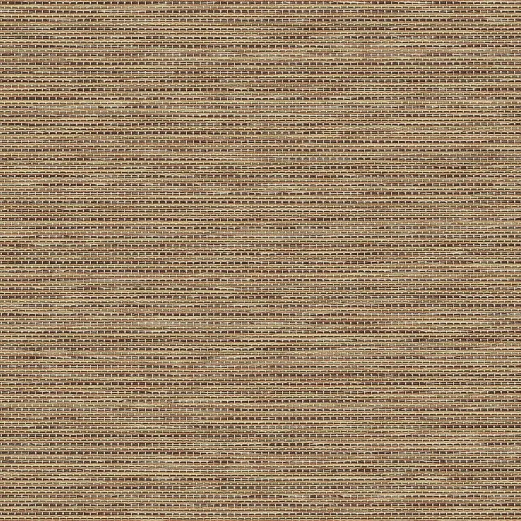 Java Coast