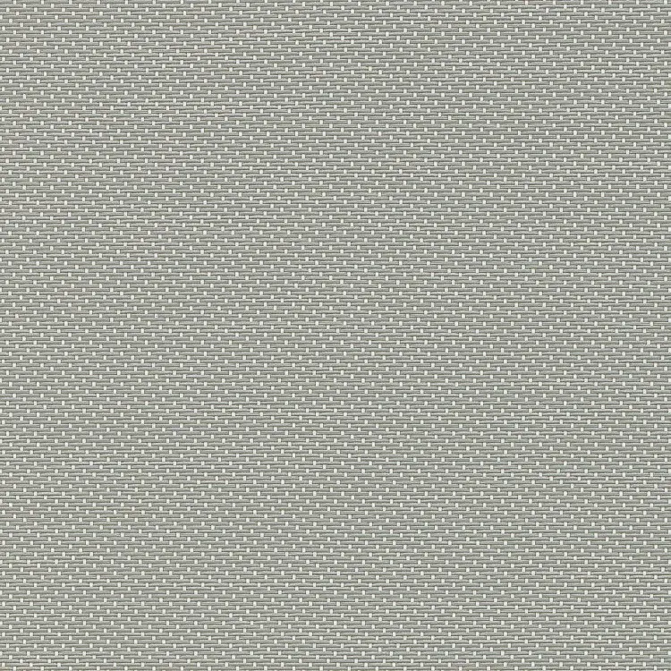 Oyster/Pearl Gray
