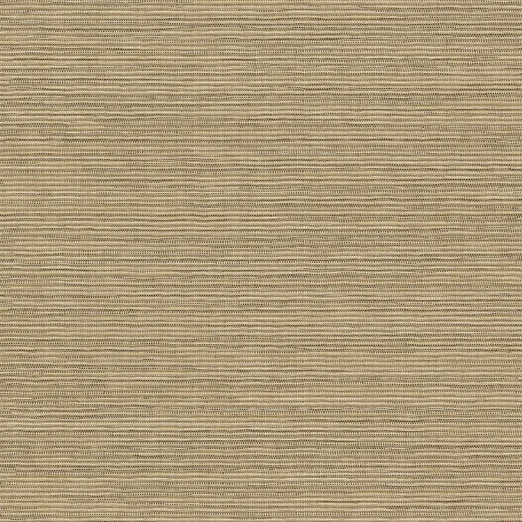 Papyrus
