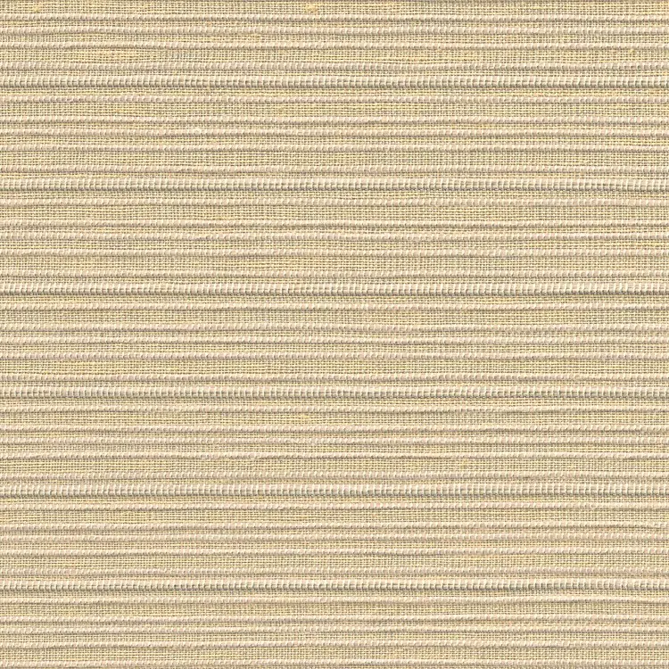 Belize Limestone