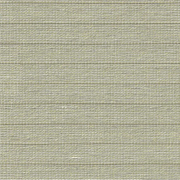Cabrillo Willow