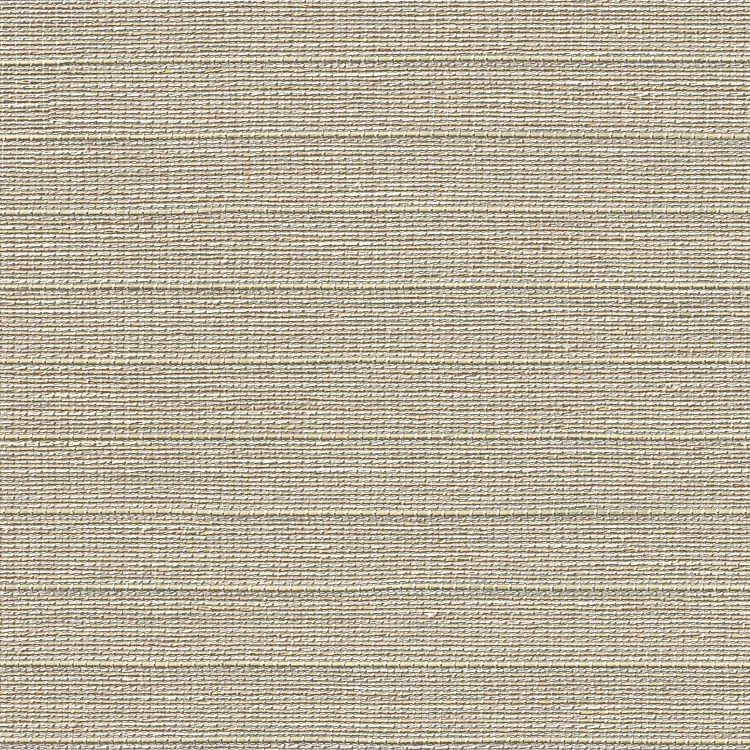 Cabrillo Ivory