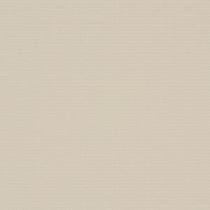 Beige Haze