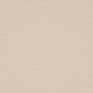 Beige Haze