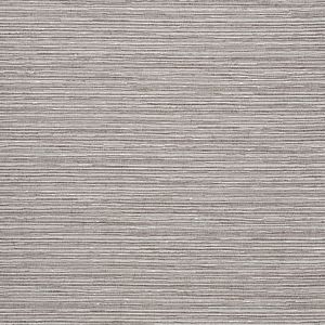 Dusky Titanium
