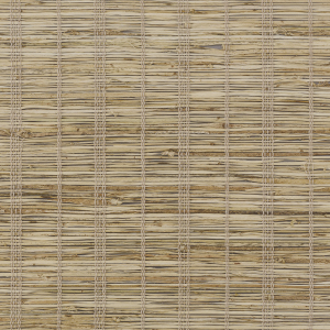 Terrestrial - Alpaca