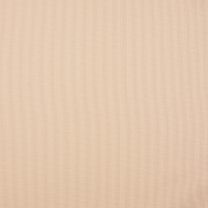 PlanetSafe - French Pastry