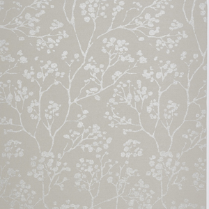 Arboretum BO - Monarch