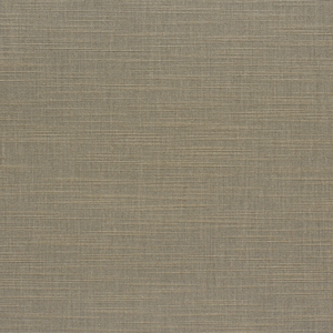 Whitehall - Westminster