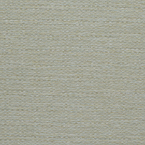 Whitcomb - Paloverde