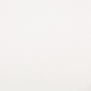 Regent - First Frost