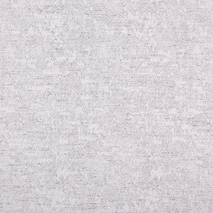 Vancouver - Light Fog