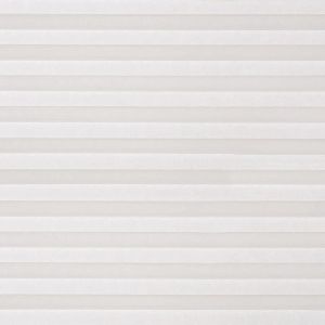 Arctic White