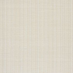 Faded Star White