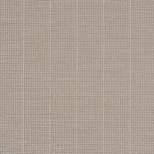 Tender Taupe