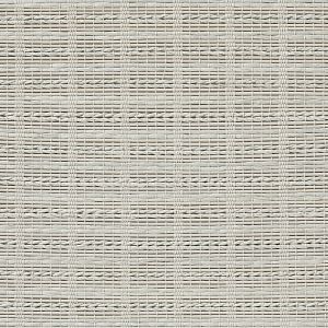 Light Fossil Gray
